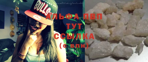 шишки Алзамай