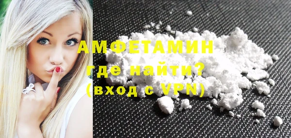 индика Нягань