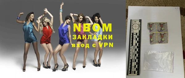 индика Нягань