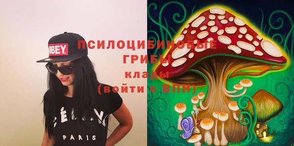 шишки Алзамай