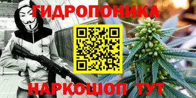 бутират Кингисепп