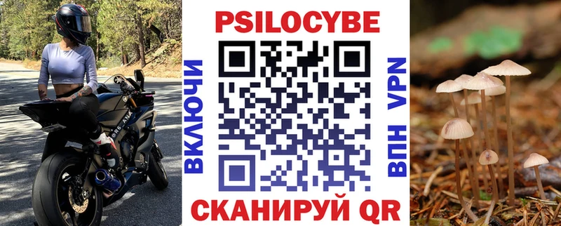 Псилоцибиновые грибы Cubensis  Саянск 