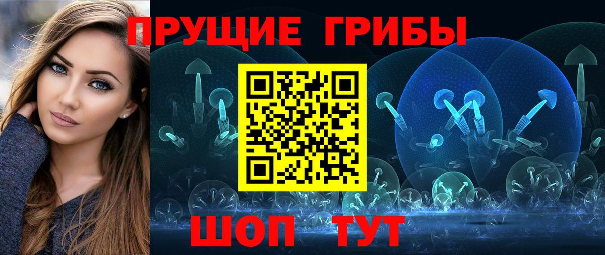 цена   Галлюциногенные грибы Psilocybine cubensis  Саянск  Вход с VPN  Галлюциногенные грибы Cubensis 